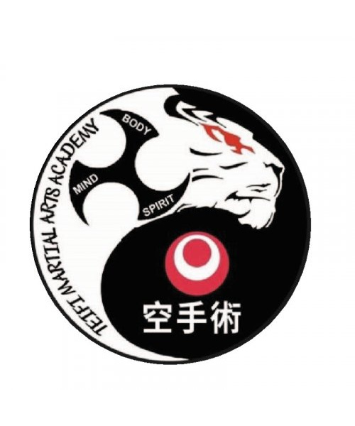 Teifi Martial Arts Academy